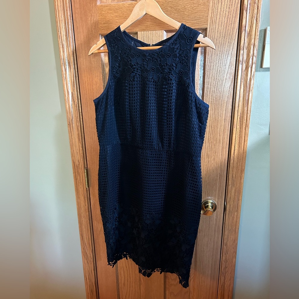 Ann Taylor Sleeveless Lace Dress